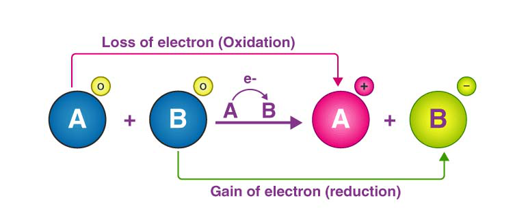 What is the Redox reaction